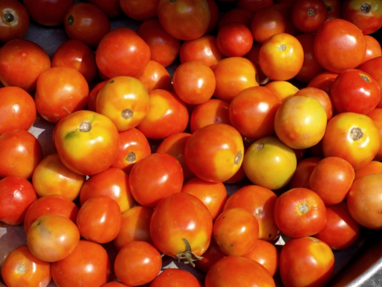chupito de tomates en un contenedor grande bajo el sol